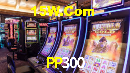 PP300