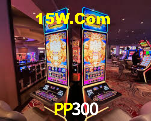 PP300