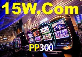 Programa VIP PP300