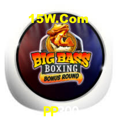 PP300,pp300.com