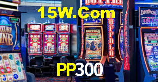 PP300
