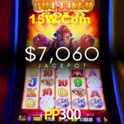 PP300 App Interface