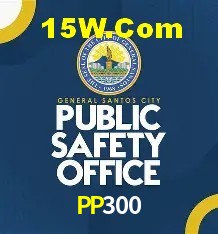 Login Seguro PP300