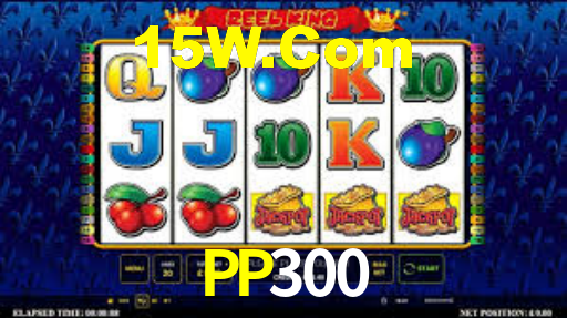 PP300,pp300.com