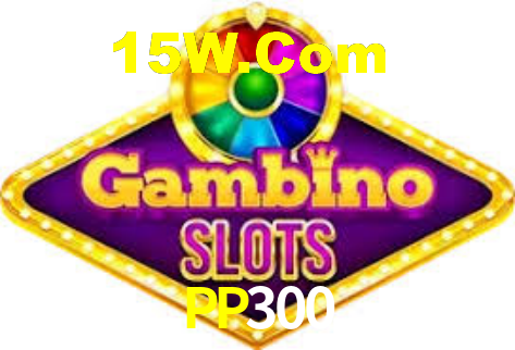 PP300