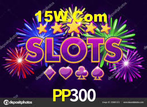 PP300
