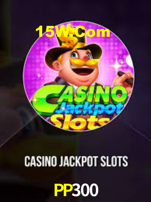 pp300.com