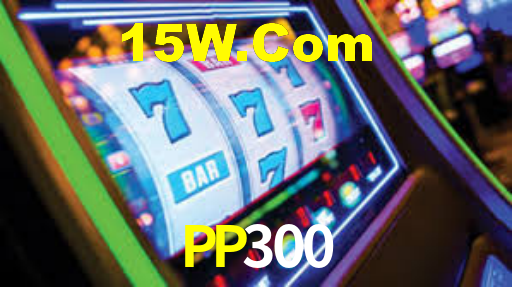 pp300.com