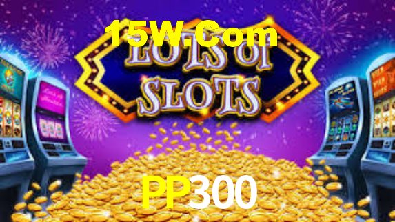pp300.com