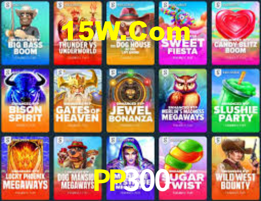 pp300.com